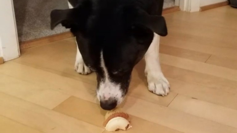 Time for cupcake